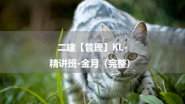 金月2025年二级建造师【管理】KL-精讲班百度云网盘（完整）