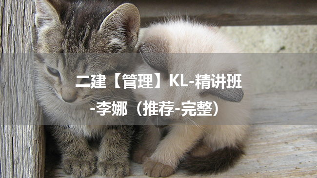 李娜2025年二级建造师【管理】KL-精讲班百度云网盘下载（推荐-完整）