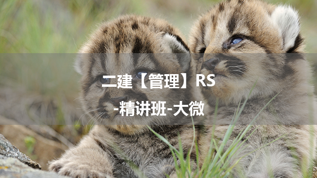 大微2025年二级建造师【管理】RS-精讲班百度云网盘下载