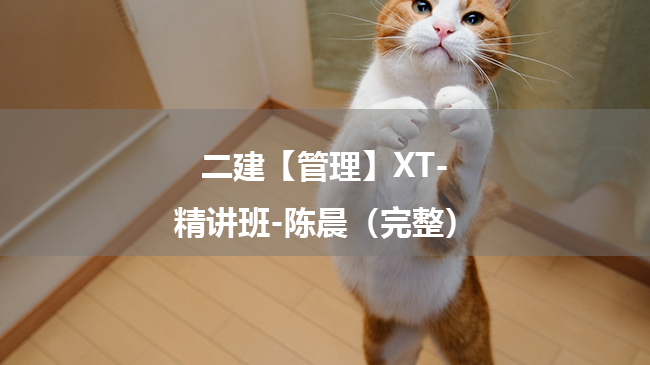 陈晨2025年二级建造师【管理】XT-精讲班百度云网盘下载（完整）