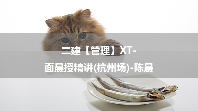 陈晨2025年二级建造师【管理】XT-面晨授精讲百度云网盘下载(杭州场)-