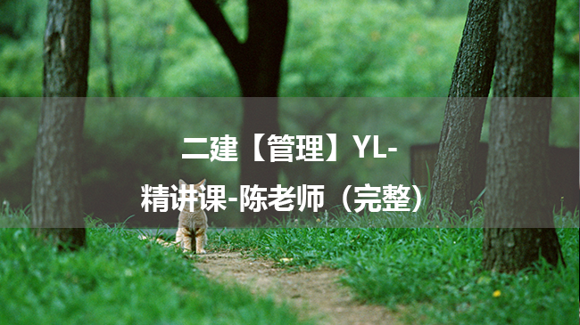 陈老师2025年二级建造师【管理】YL-精讲课百度云网盘下载-（完整）