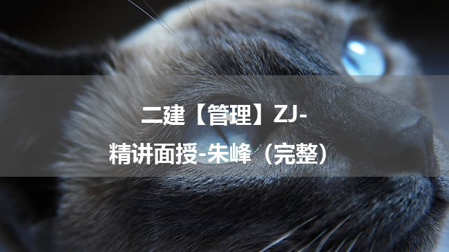 朱峰2025年二级建造师【管理】ZJ-精讲面授百度云网盘下载-（完整）