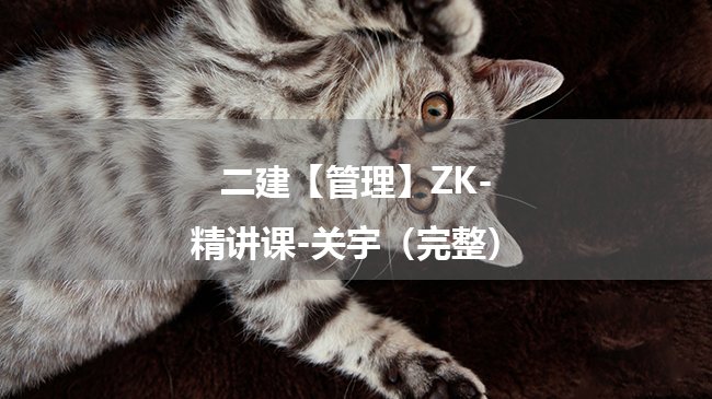 关宇2025年二级建造师【管理】ZK-精讲课百度云网盘下载-（完整）