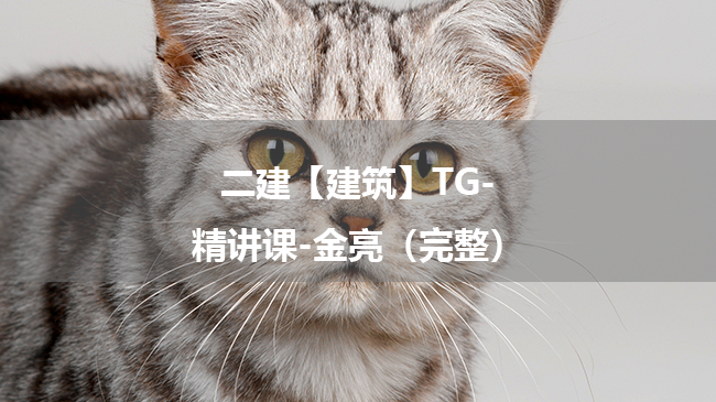 金亮2025年二级建造师【建筑】TG-精讲课百度云网盘下载-（完整）