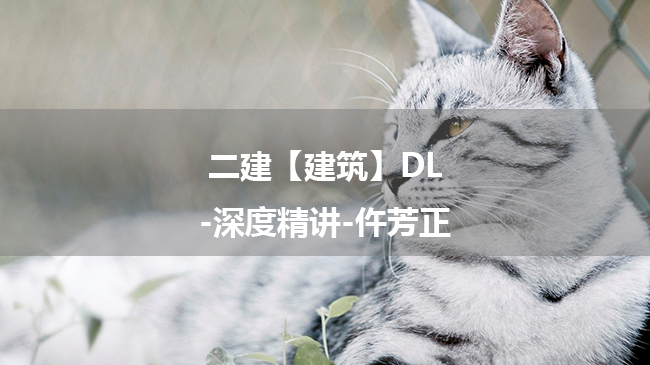 仵芳正2025年二级建造师【建筑】DL-深度精讲百度云网盘下载-