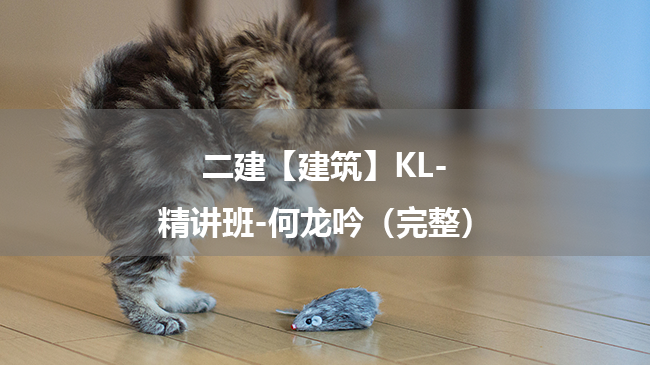 何龙吟2025年二级建造师【建筑】KL-精讲班百度云网盘下载-（完整）