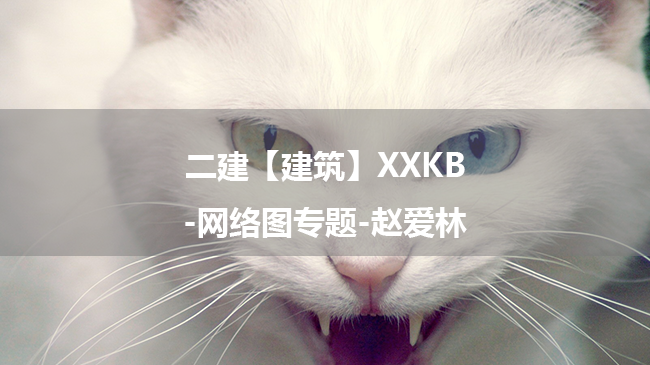 赵爱林2025年二级建造师【建筑】XXKB-网络图专题百度云网盘下载-