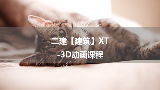 二级建造师【建筑】XT-3D动画课程百度云网盘下载
