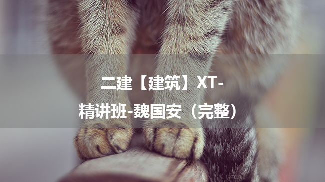 魏国安2025年二级建造师【建筑】XT-精讲班百度云网盘下载（完整）