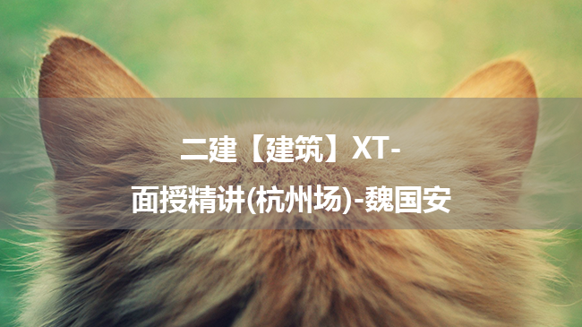 魏国安2025年二级建造师【建筑】XT-面授精讲百度云网盘下载(杭州场)-