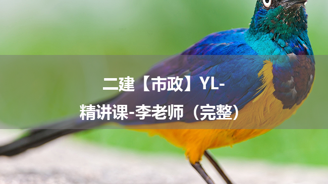 李老师2025年二级建造师【市政】YL-精讲课百度云网盘下载-（完整）